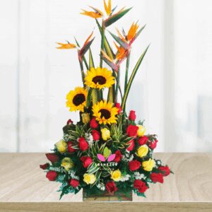 Arreglo foral Cali