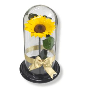 Girasol Preservado