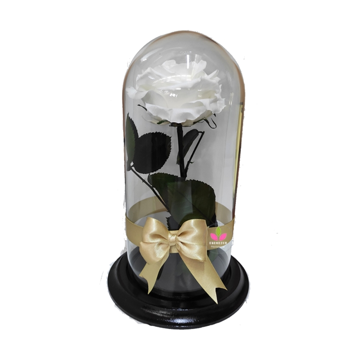 Rosa inmortalizada Cali Blanca 1 Rosa inmortalizada Cali Blanca