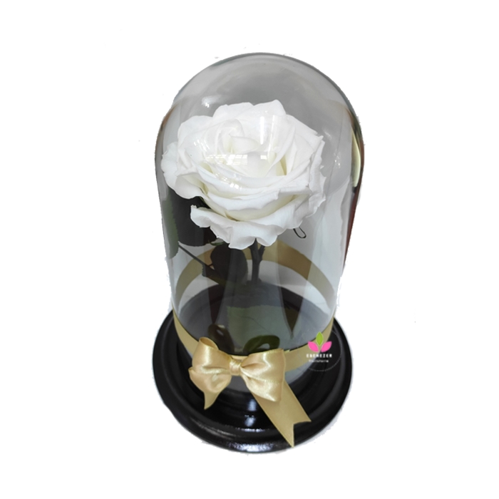 Rosa inmortalizada Cali Blanca 2 Rosa inmortalizada Cali Blanca