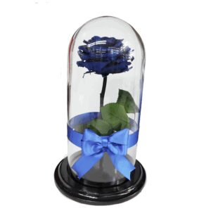 Rosa Preservada Azul Cali