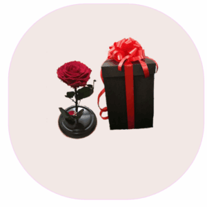 Rosas Preservadas Cali